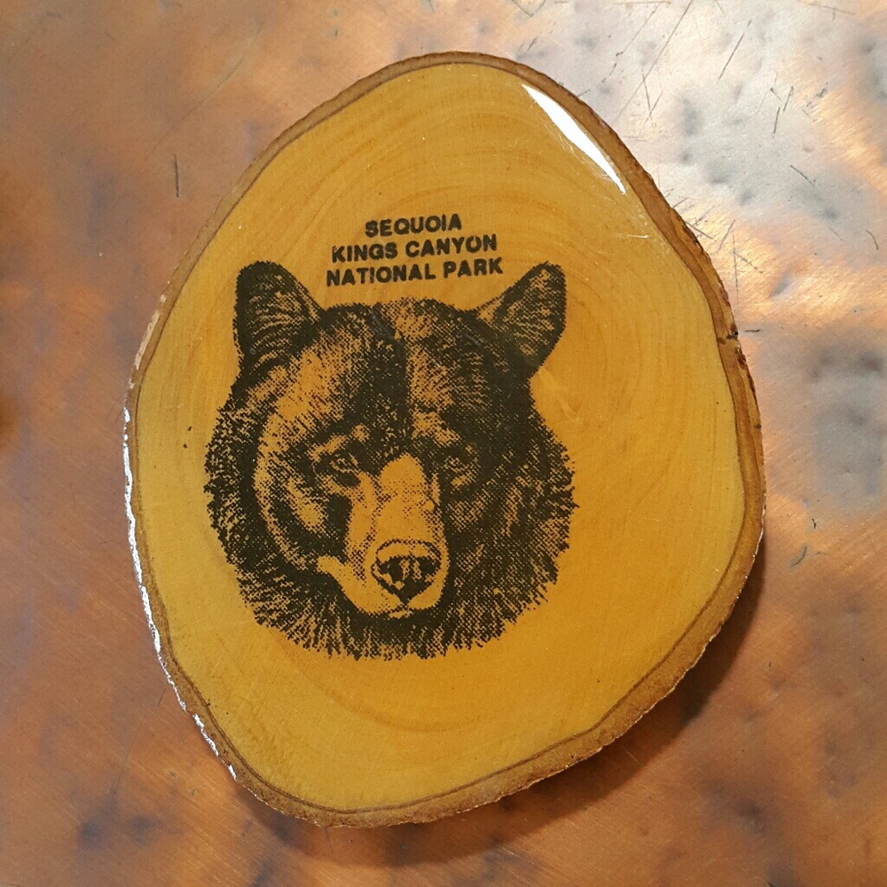 #70 Bear Fridge Magnet Sequoia Kings Canyon Park Wood